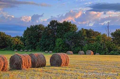 Bales At Sunrise_20195.jpg - Photographed near Smiths Falls, Ontario, Canada.